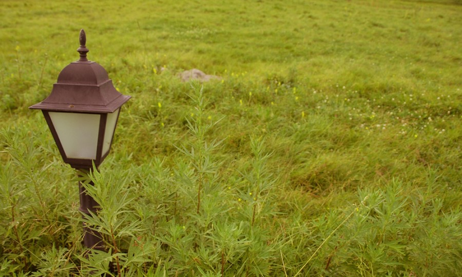 ʨ�ӻ� - ������ɫ��Ϸ����