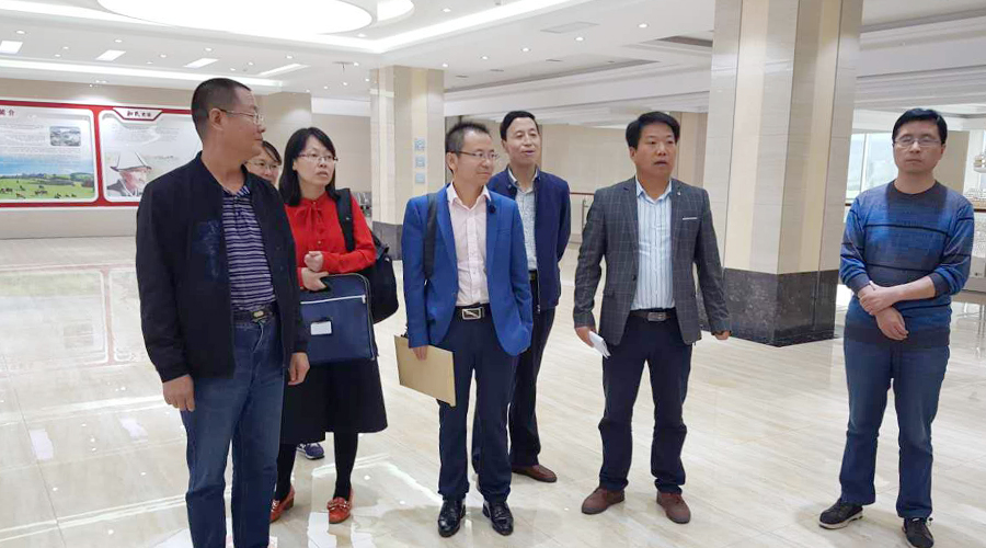 ʨ�ӻ� - ������ɫ��Ϸ����