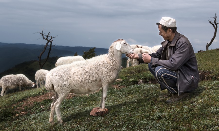 ʨ�ӻ� - ������ɫ��Ϸ����