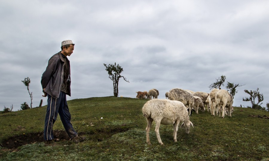 ʨ�ӻ� - ������ɫ��Ϸ����