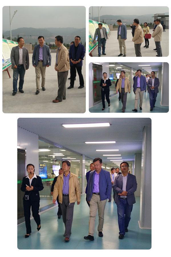 ʨ�ӻ� - ������ɫ��Ϸ����