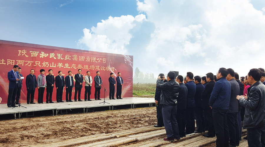 ʨ�ӻ� - ������ɫ��Ϸ����