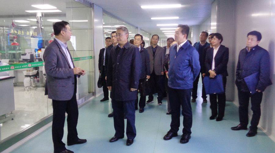 ʨ�ӻ� - ������ɫ��Ϸ����