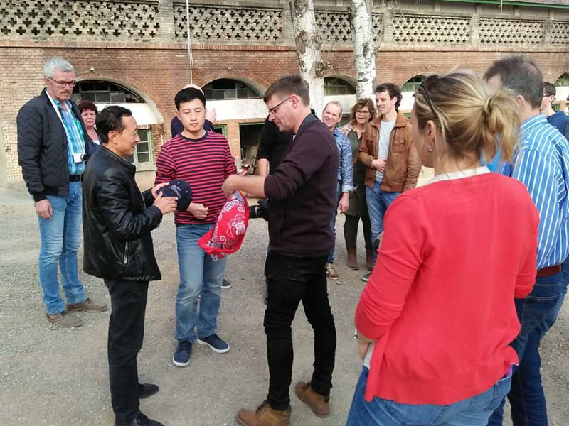 ʨ�ӻ� - ������ɫ��Ϸ����