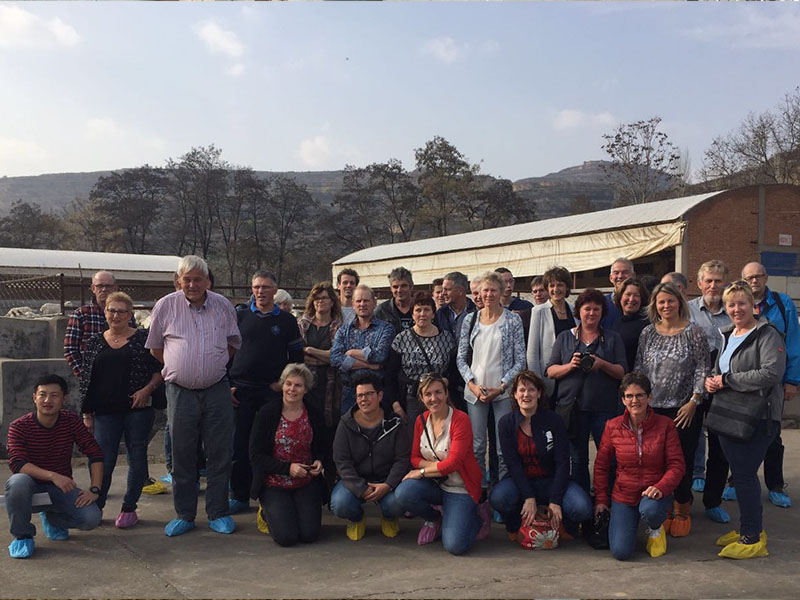 ʨ�ӻ� - ������ɫ��Ϸ����