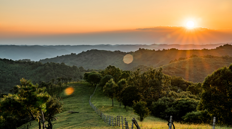 ʨ�ӻ� - ������ɫ��Ϸ����