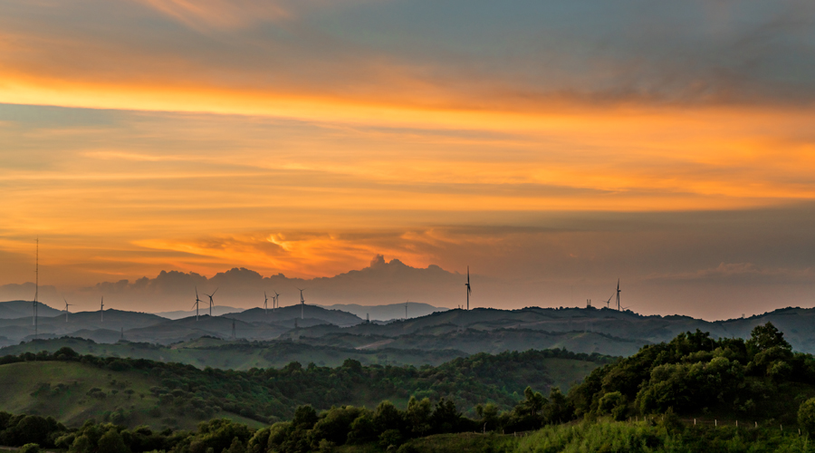 ʨ�ӻ� - ������ɫ��Ϸ����