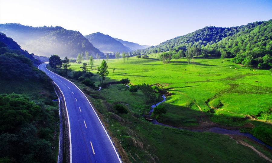 ʨ�ӻ� - ������ɫ��Ϸ����