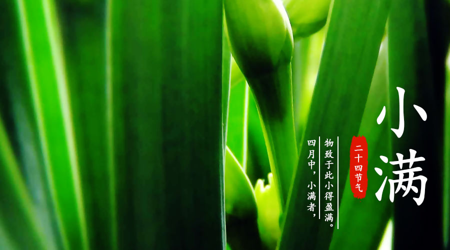 ʨ�ӻ� - ������ɫ��Ϸ����