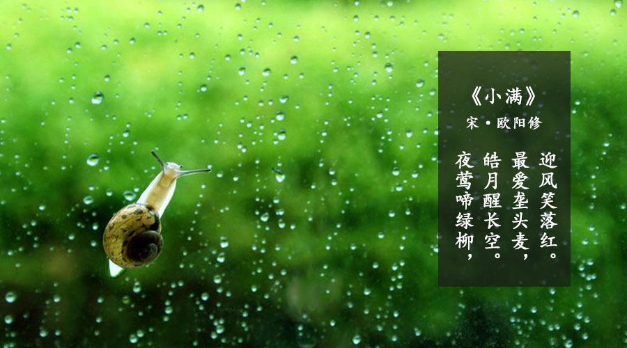 ʨ�ӻ� - ������ɫ��Ϸ����