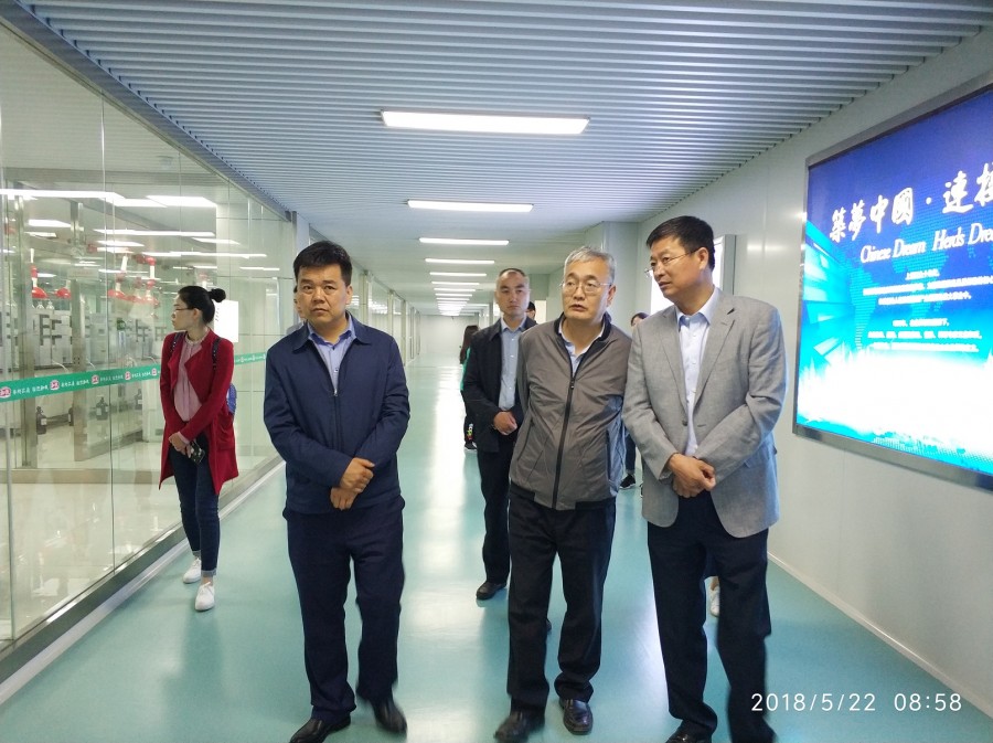 ʨ�ӻ� - ������ɫ��Ϸ����