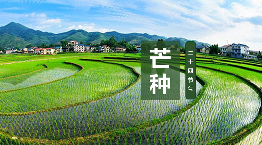 ʨ�ӻ� - ������ɫ��Ϸ����