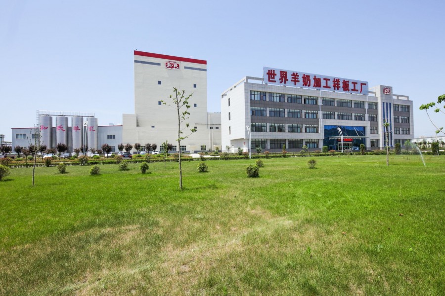 ʨ�ӻ� - ������ɫ��Ϸ����