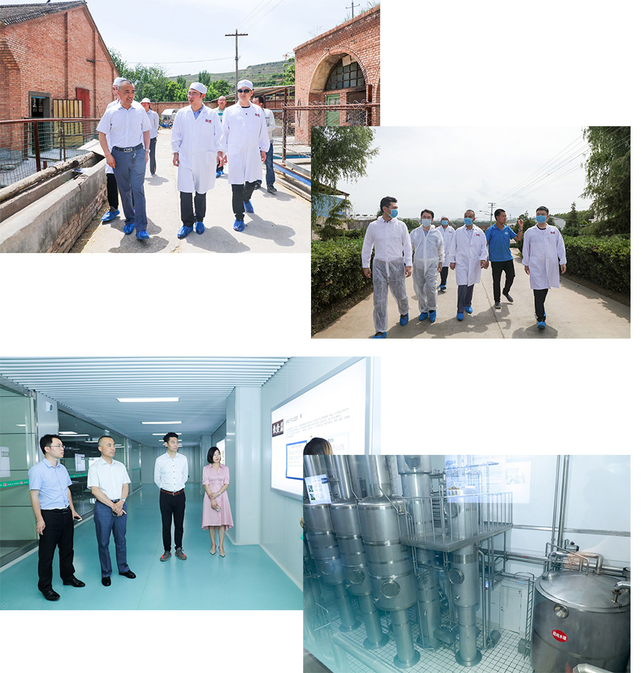 ʨ�ӻ� - ������ɫ��Ϸ����