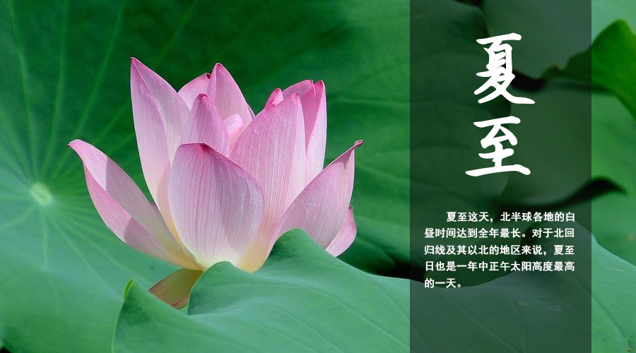 ʨ�ӻ� - ������ɫ��Ϸ����