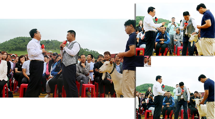 ʨ�ӻ� - ������ɫ��Ϸ����