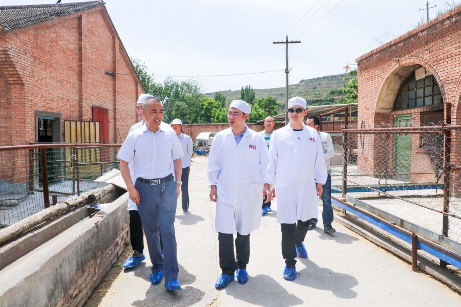 ʨ�ӻ� - ������ɫ��Ϸ����