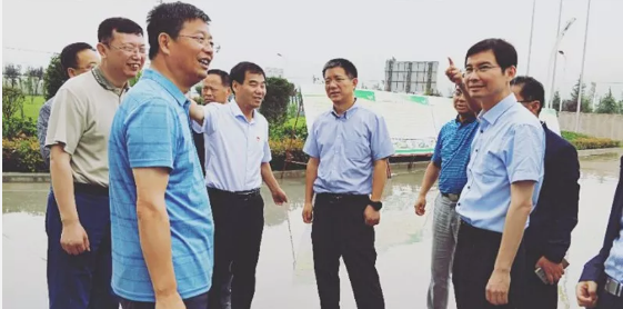 ʨ�ӻ� - ������ɫ��Ϸ����