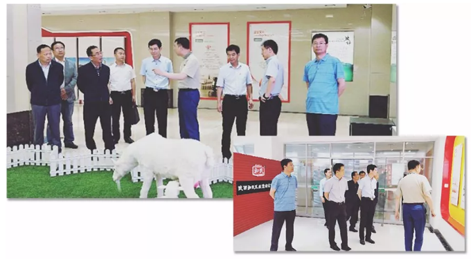 ʨ�ӻ� - ������ɫ��Ϸ����