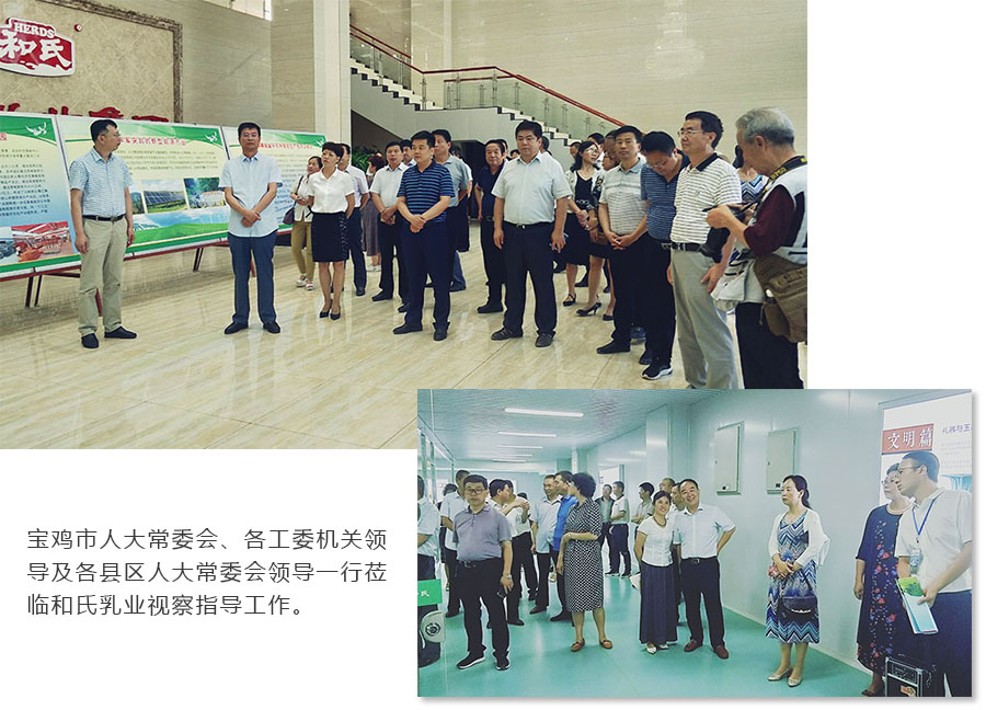 ʨ�ӻ� - ������ɫ��Ϸ����