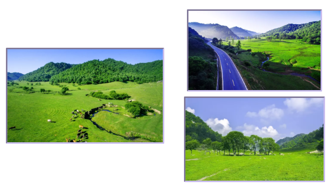 ʨ�ӻ� - ������ɫ��Ϸ����