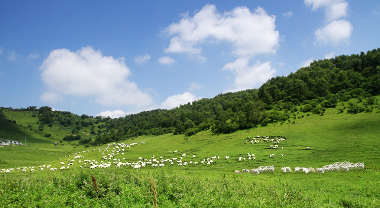 ʨ�ӻ� - ������ɫ��Ϸ����