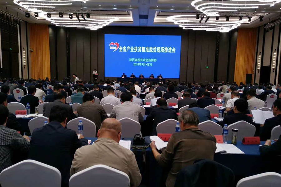 ʨ�ӻ� - ������ɫ��Ϸ����