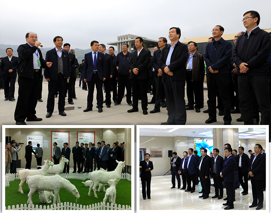 ʨ�ӻ� - ������ɫ��Ϸ����