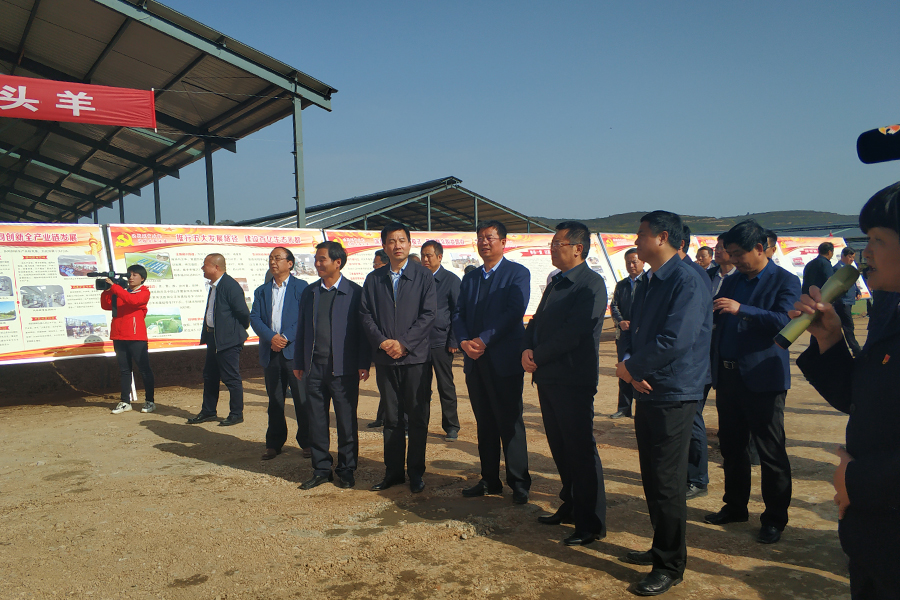 ʨ�ӻ� - ������ɫ��Ϸ����