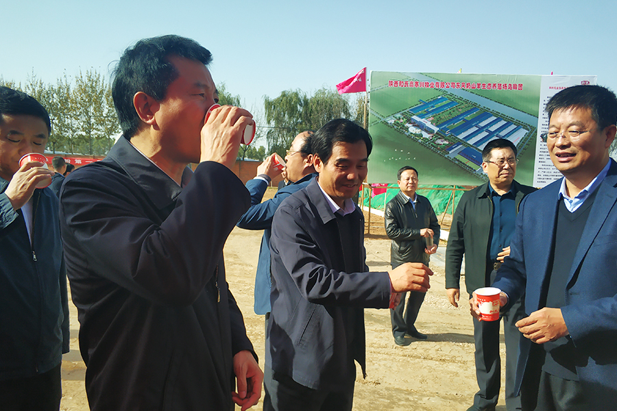 ʨ�ӻ� - ������ɫ��Ϸ����