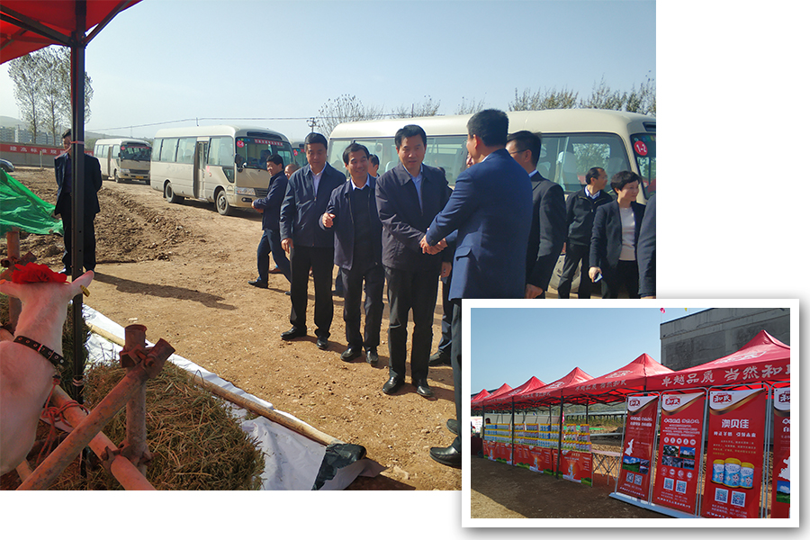 ʨ�ӻ� - ������ɫ��Ϸ����