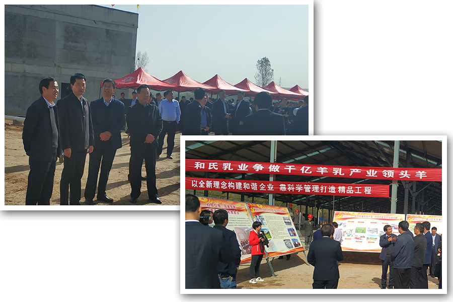 ʨ�ӻ� - ������ɫ��Ϸ����