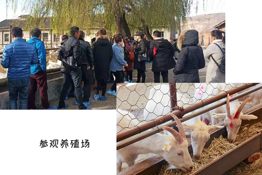 ʨ�ӻ� - ������ɫ��Ϸ����