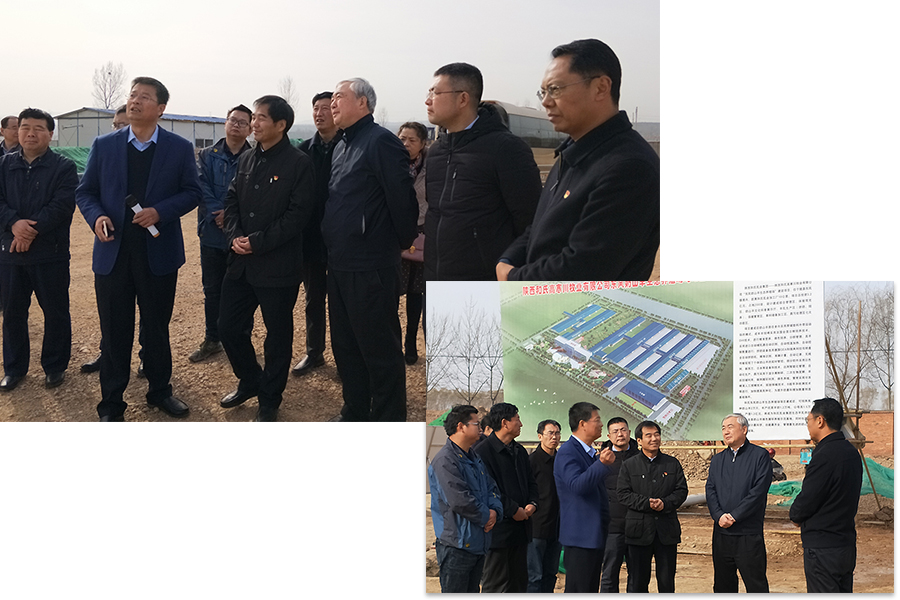 ʨ�ӻ� - ������ɫ��Ϸ����