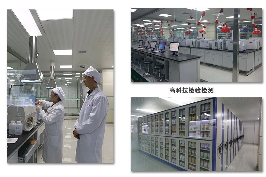 ʨ�ӻ� - ������ɫ��Ϸ����