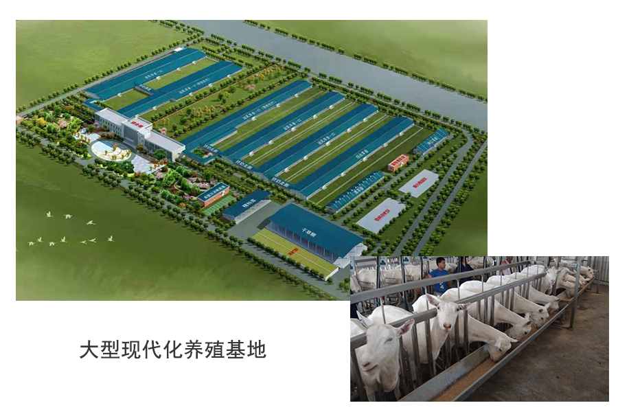 ʨ�ӻ� - ������ɫ��Ϸ����