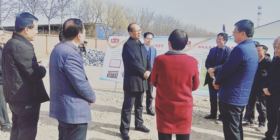 ʨ�ӻ� - ������ɫ��Ϸ����