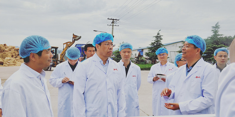 ʨ�ӻ� - ������ɫ��Ϸ����