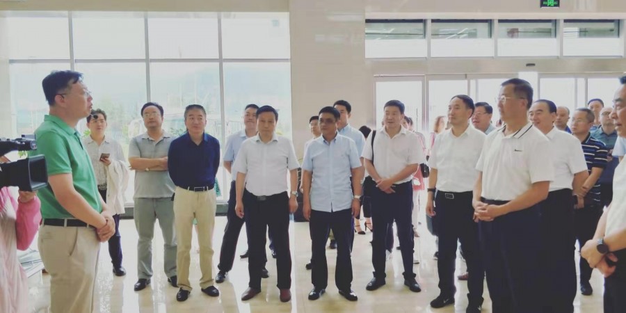 ʨ�ӻ� - ������ɫ��Ϸ����