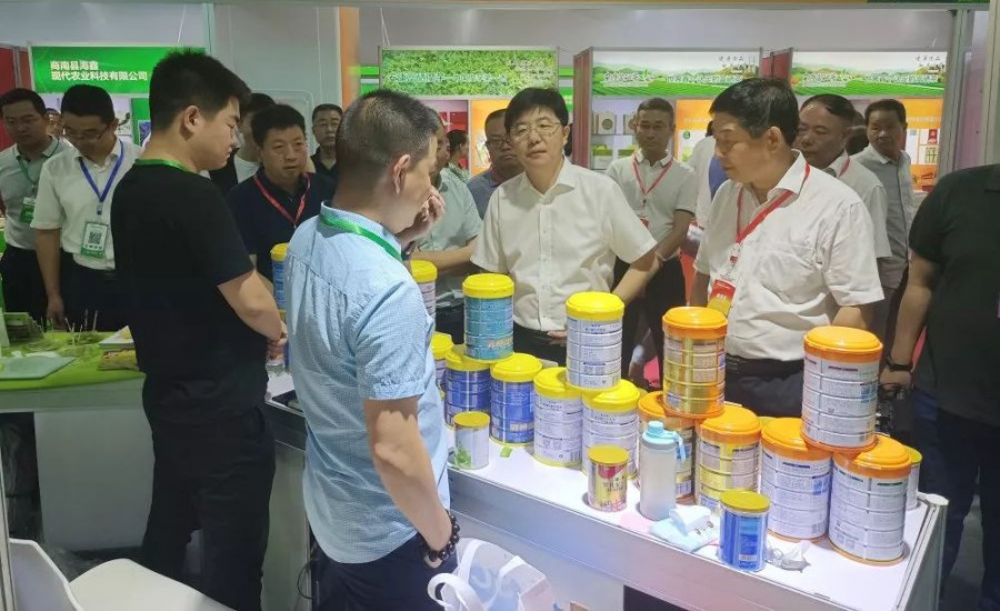 ʨ�ӻ� - ������ɫ��Ϸ����