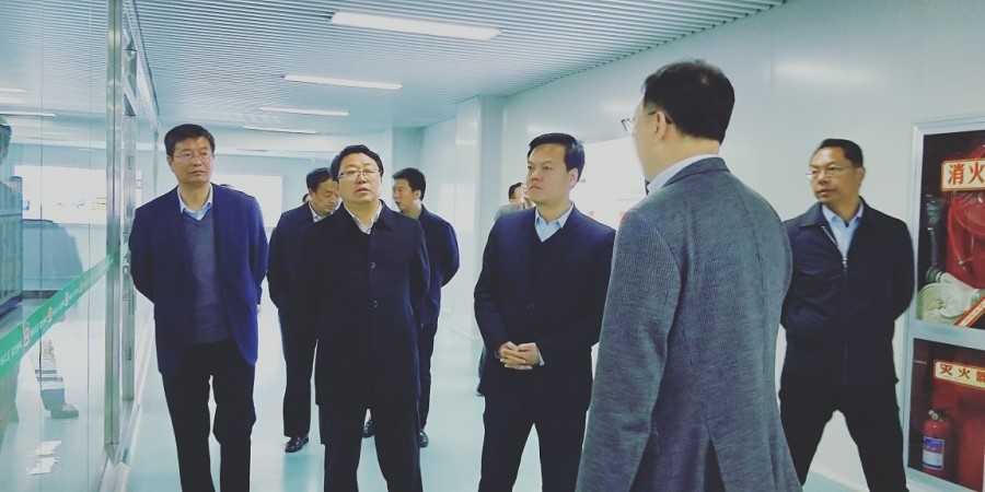 ʨ�ӻ� - ������ɫ��Ϸ����