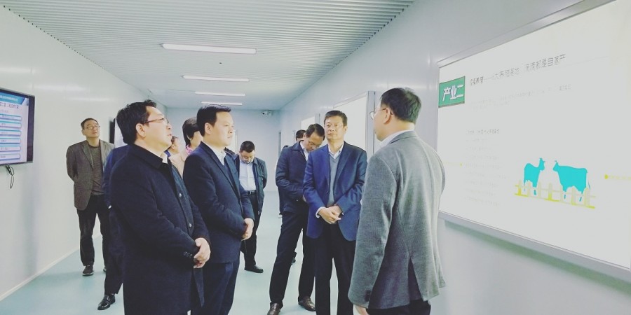 ʨ�ӻ� - ������ɫ��Ϸ����