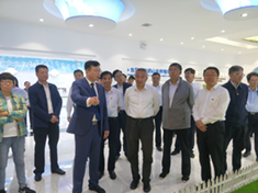 ʨ�ӻ� - ������ɫ��Ϸ����