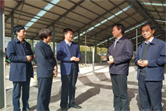 ʨ�ӻ� - ������ɫ��Ϸ����