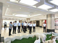 ʨ�ӻ� - ������ɫ��Ϸ����