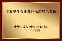 ʨ�ӻ� - ������ɫ��Ϸ����