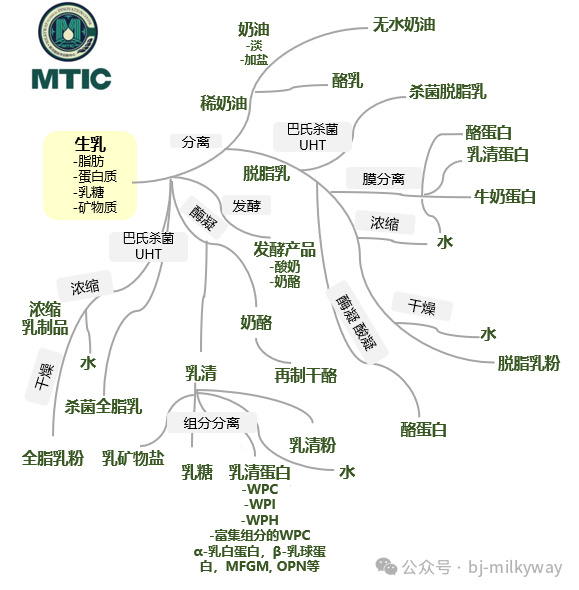 ʨ�ӻ� - ������ɫ��Ϸ����