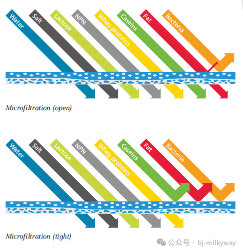 ʨ�ӻ� - ������ɫ��Ϸ����