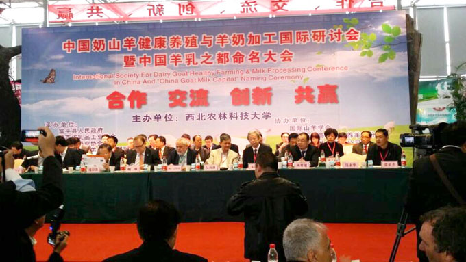 ʨ�ӻ� - ������ɫ��Ϸ����