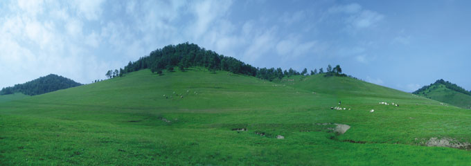 ʨ�ӻ� - ������ɫ��Ϸ����